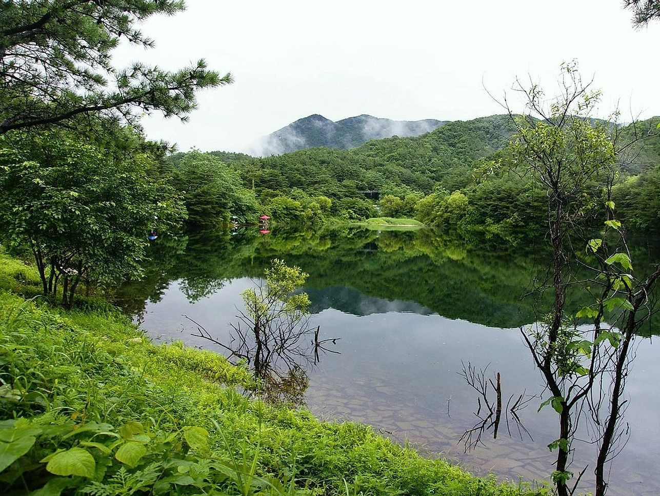 Cardume de peixes frescos descansando em tecido úmido de linho